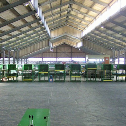 Palletizing & Despatch floor